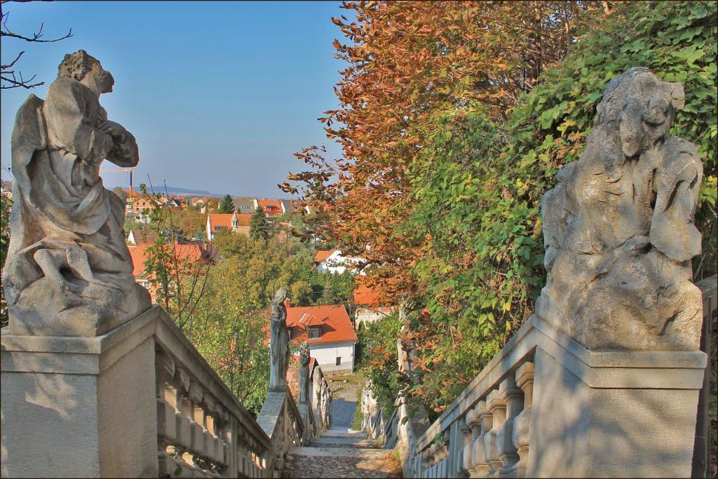 Karmelita Boutique Apartman Šoproň Exteriér fotografie